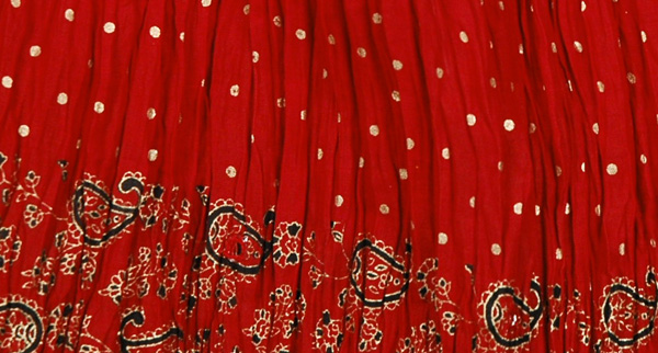 Exotica Ethnic Skirt