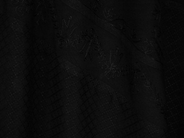 Onyx Vine Tonal Embroidered Maxi Skirt