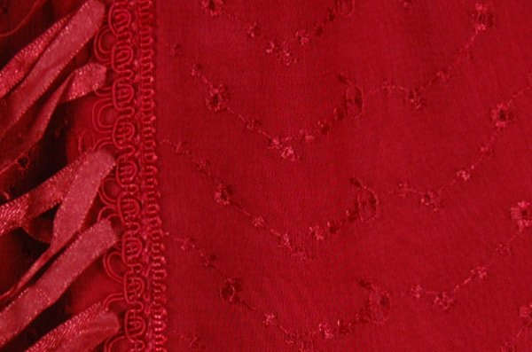 Handkerchief Hem Embroidered Skirt in Merlot Wine
