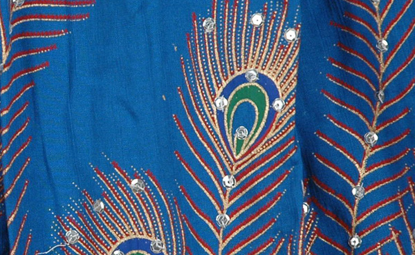 Neeli Ethnic Long Skirt